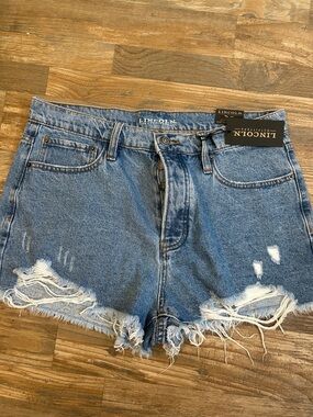 Women's Distressed Denim Shorts in Light Blue